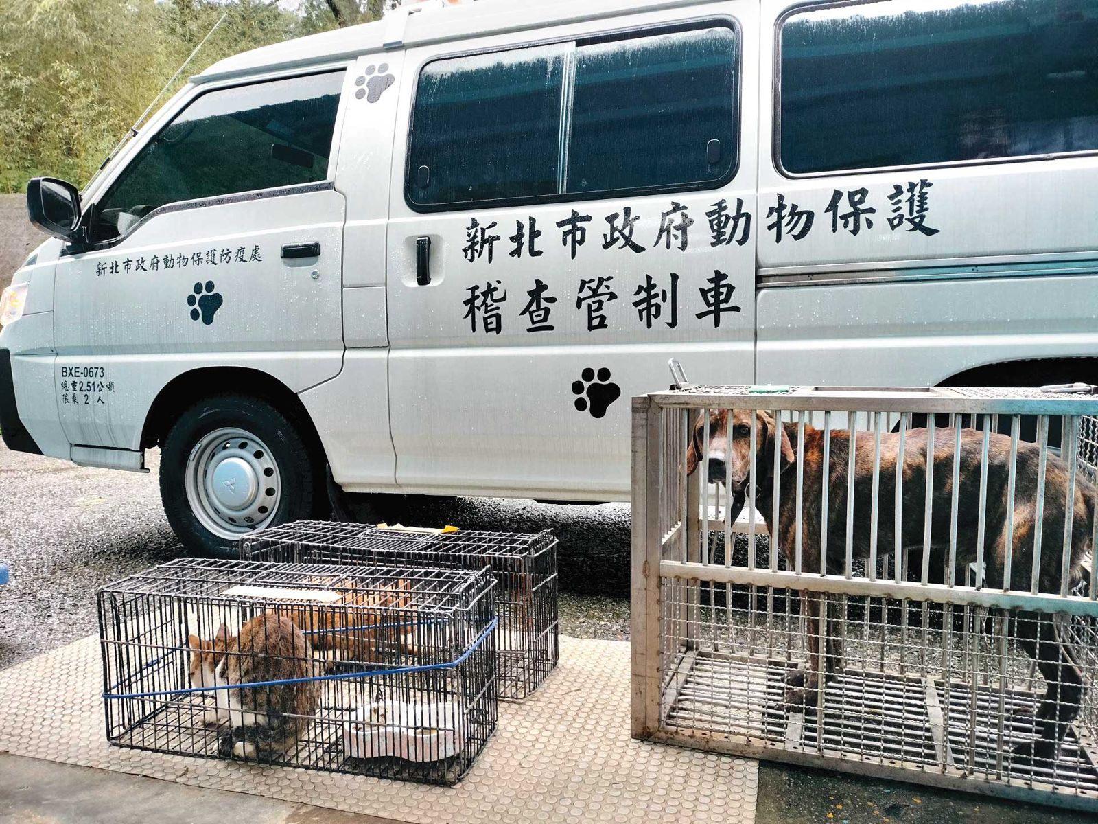 新北市動保處廠商曾因公務車問題,與市府人員發生口角。(示意圖/翻攝新北市動保處官網)