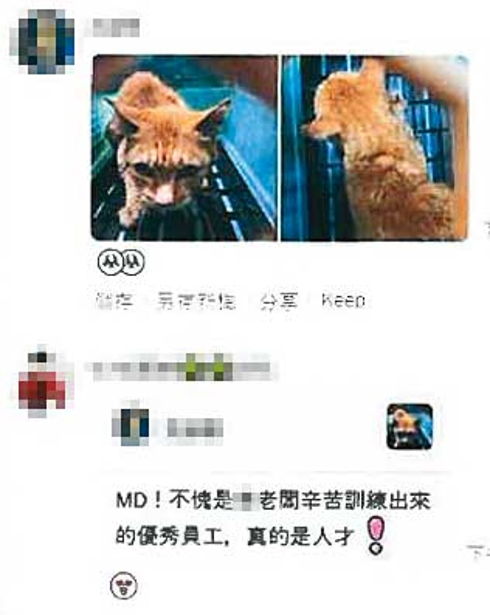 陳姓動保員遭控在動保處群組內,用嘲諷羞辱的言語霸凌舊廠商員工。(圖/讀者提供)