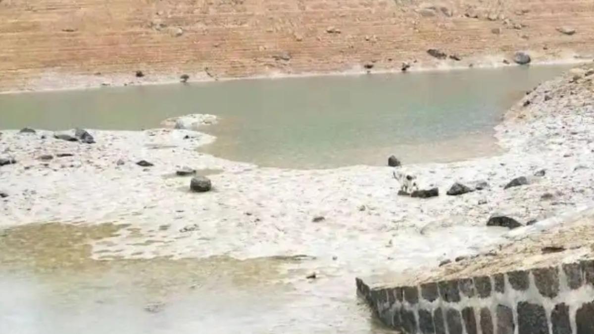 廣西罕見乾旱 多座水庫嚴重缺水。（圖／新浪）