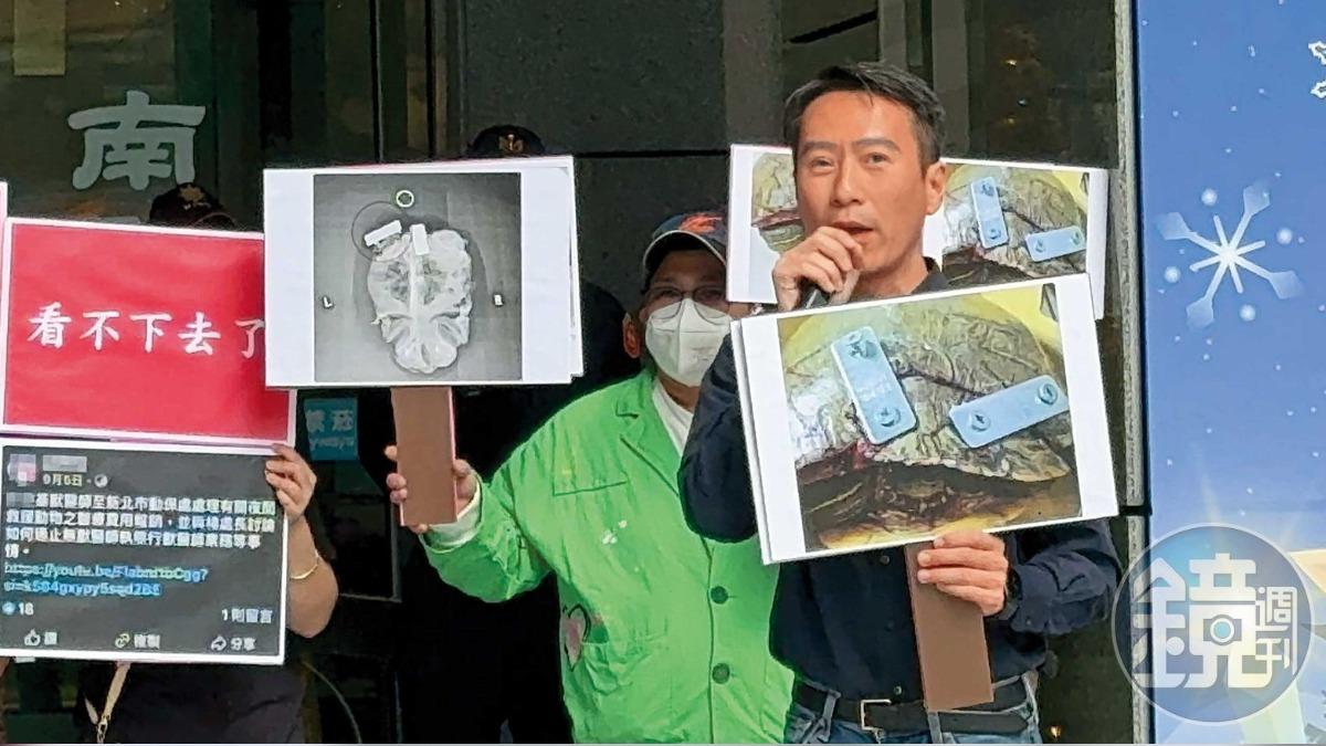 【動保虐貓黑幕多2】合作獸醫治療烏龜爆爭議 處長楊淑方竟洩漏陳情人電話