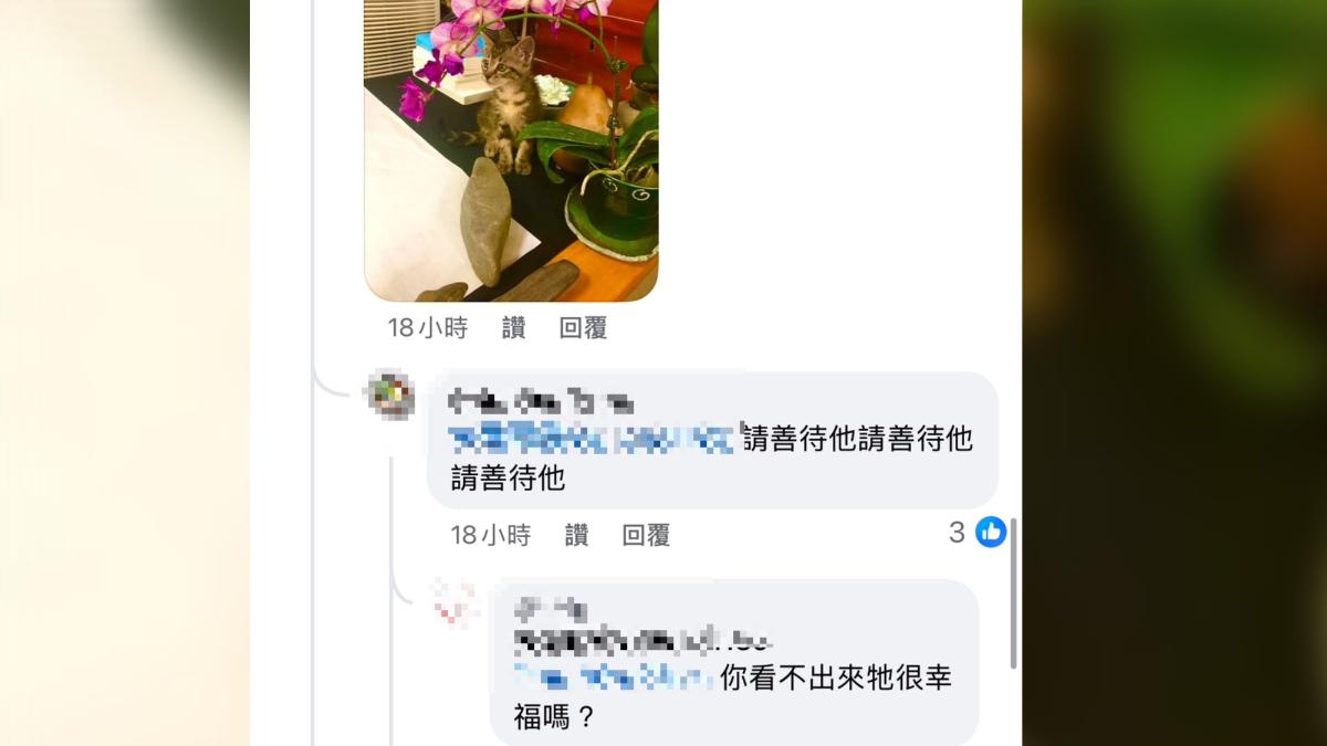 飼主回應引起網友更加憤怒。(圖/翻攝自臉書)