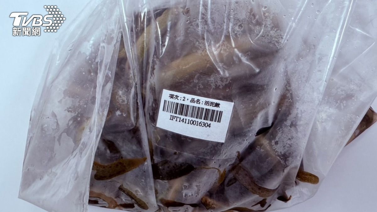 退運銷毀!日本草莓柑橘農藥超標 大陸活泥鰍含「禁止動物用藥」