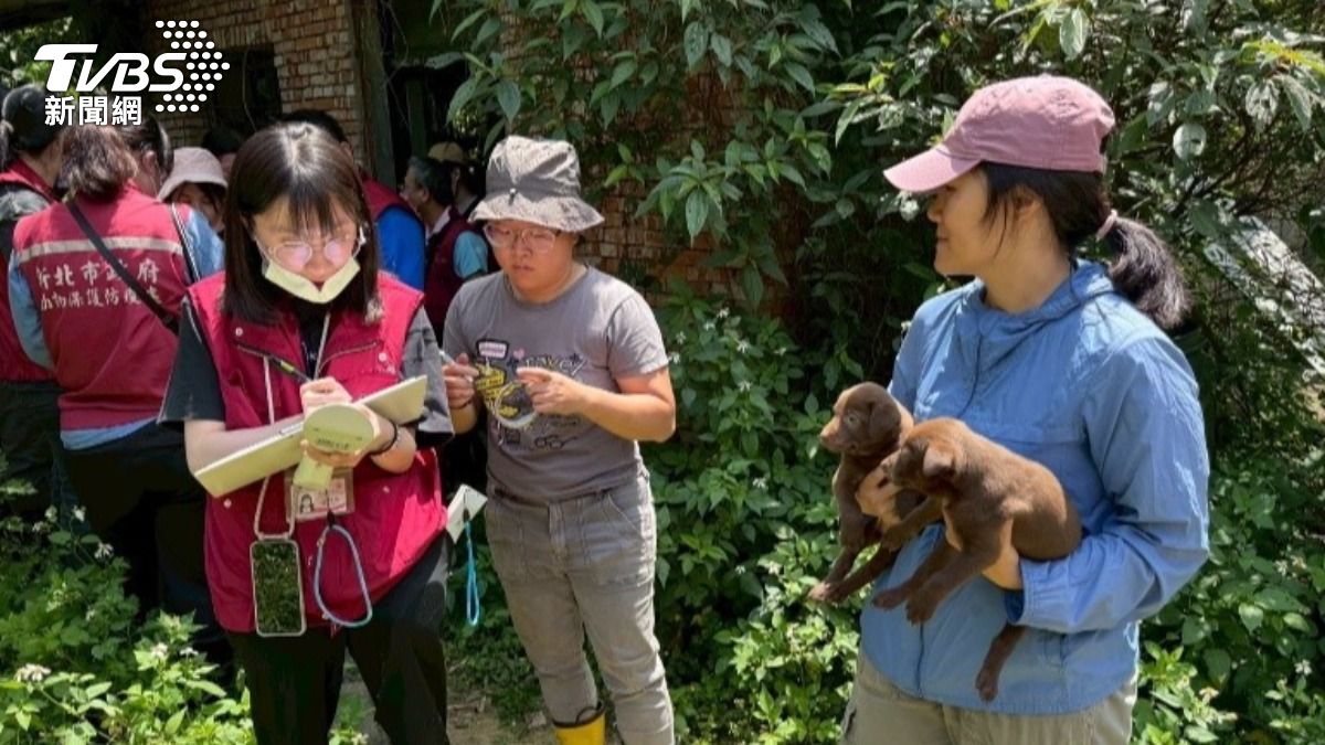 協會協助現場救出離乳幼犬。(圖/TVBS)