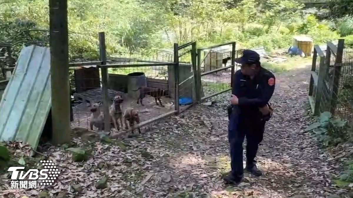 疏於照顧釀悲劇 犬隻脖頸爛肉、肺炎重病無人理,新北市祭重罰116萬8000。(圖/新北市動保處 提供)