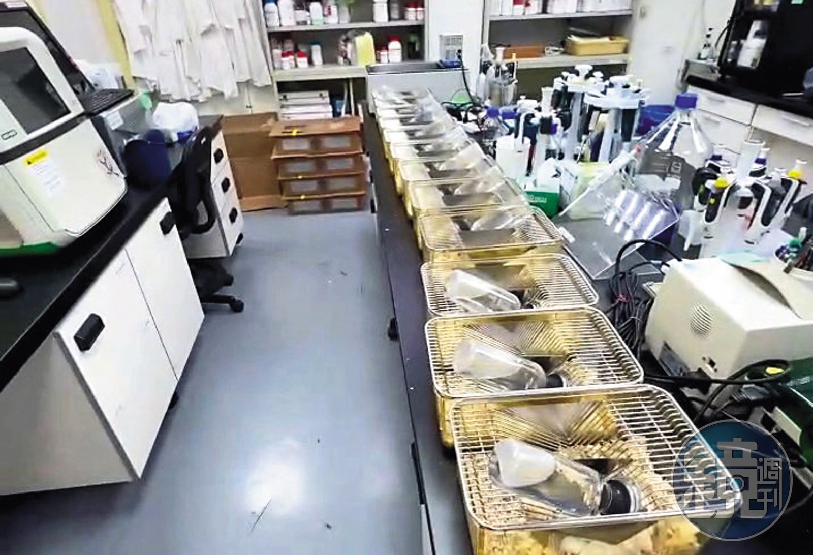 上百隻老鼠被混養在滿是儀器及化學藥物的實驗室，差點全被安樂死。（圖／讀者提供）
