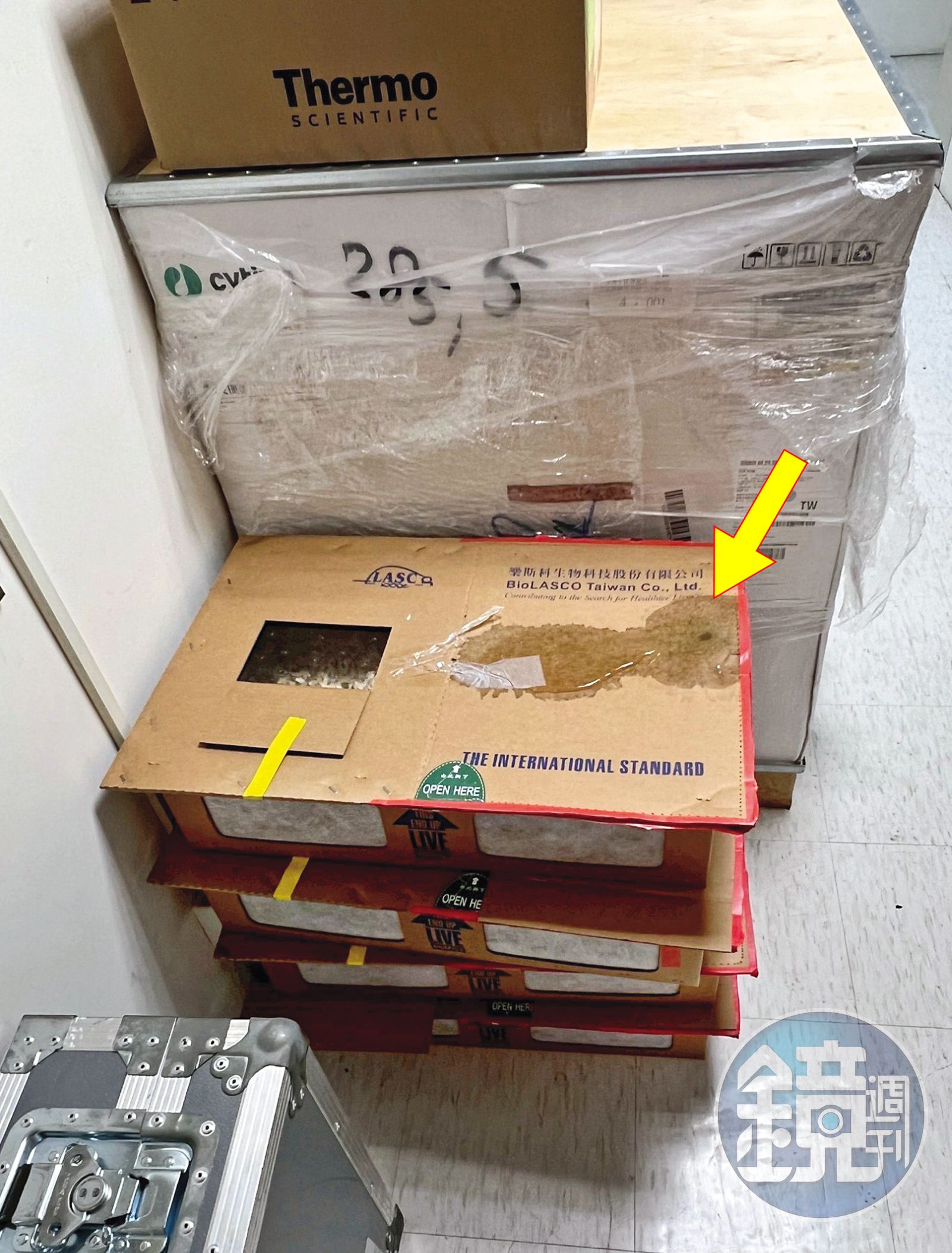 裝白老鼠的紙箱被屎尿浸濕(箭頭處),還堆在地上好幾天。(圖/讀者提供)