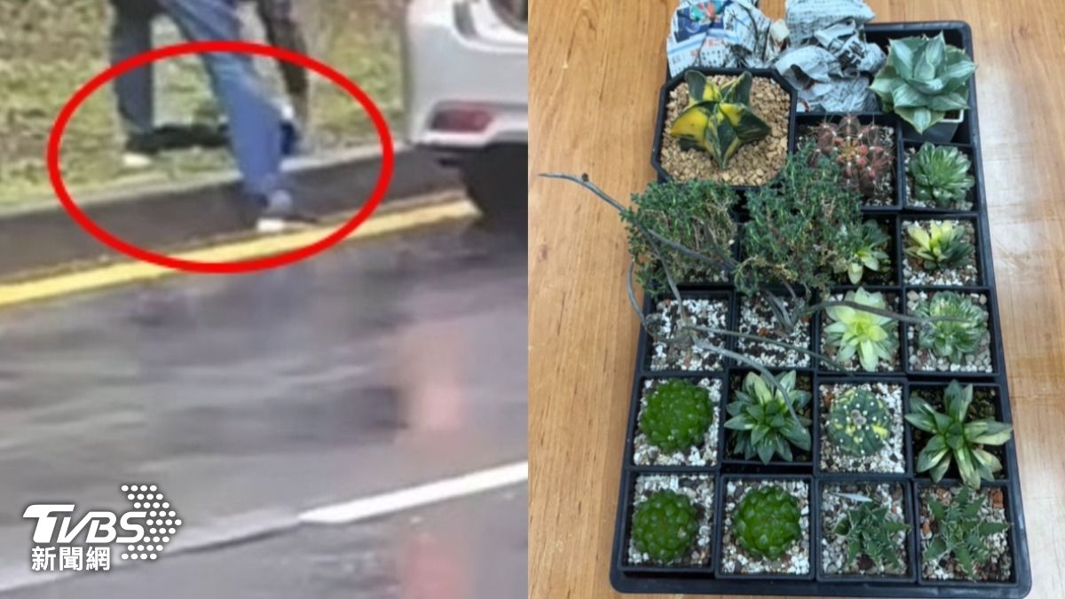 以為沒人要?小黃司機搬走7千元盆栽送警局 挨告侵占罪慘了