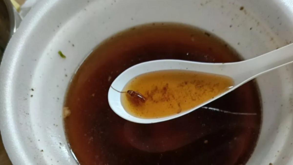 加料！牛肉麵吃見底撈出「整隻蟑螂」　他崩潰喊快吐了