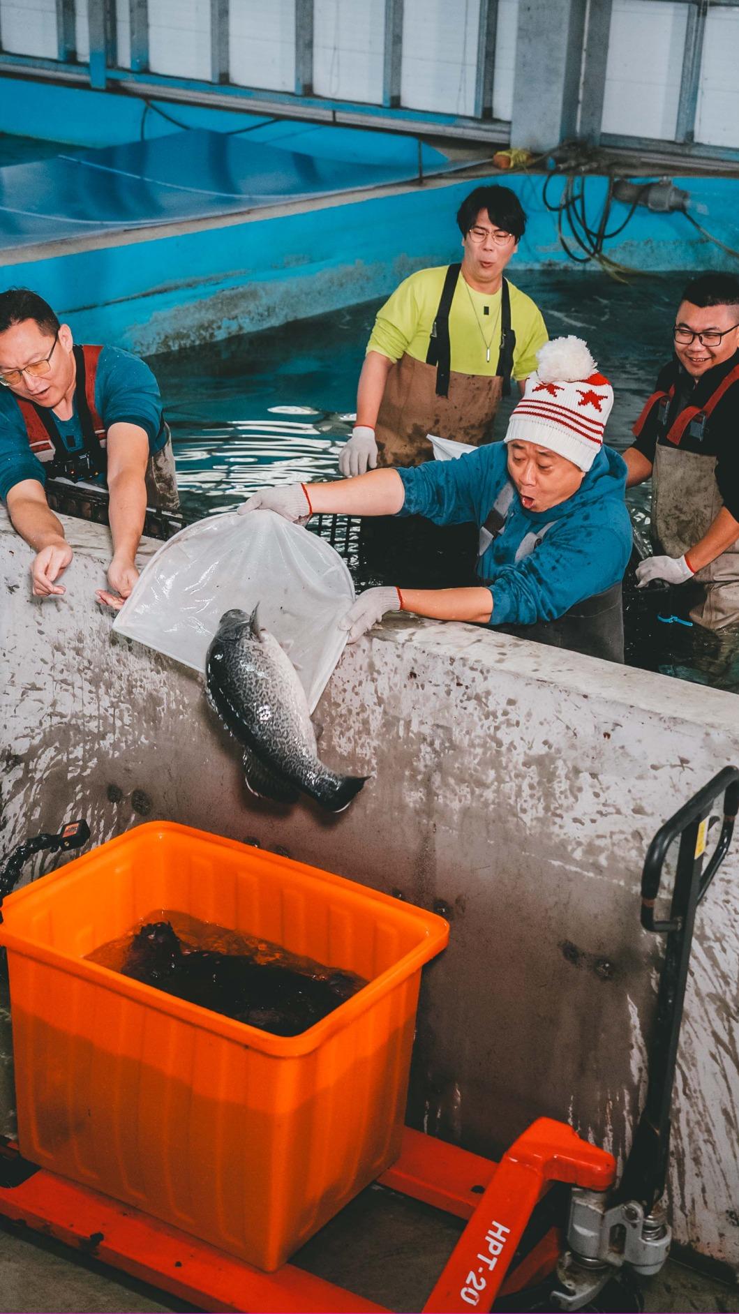 邰智源與邵大倫下魚池,體驗撈魚。(圖/公視台語台提供)