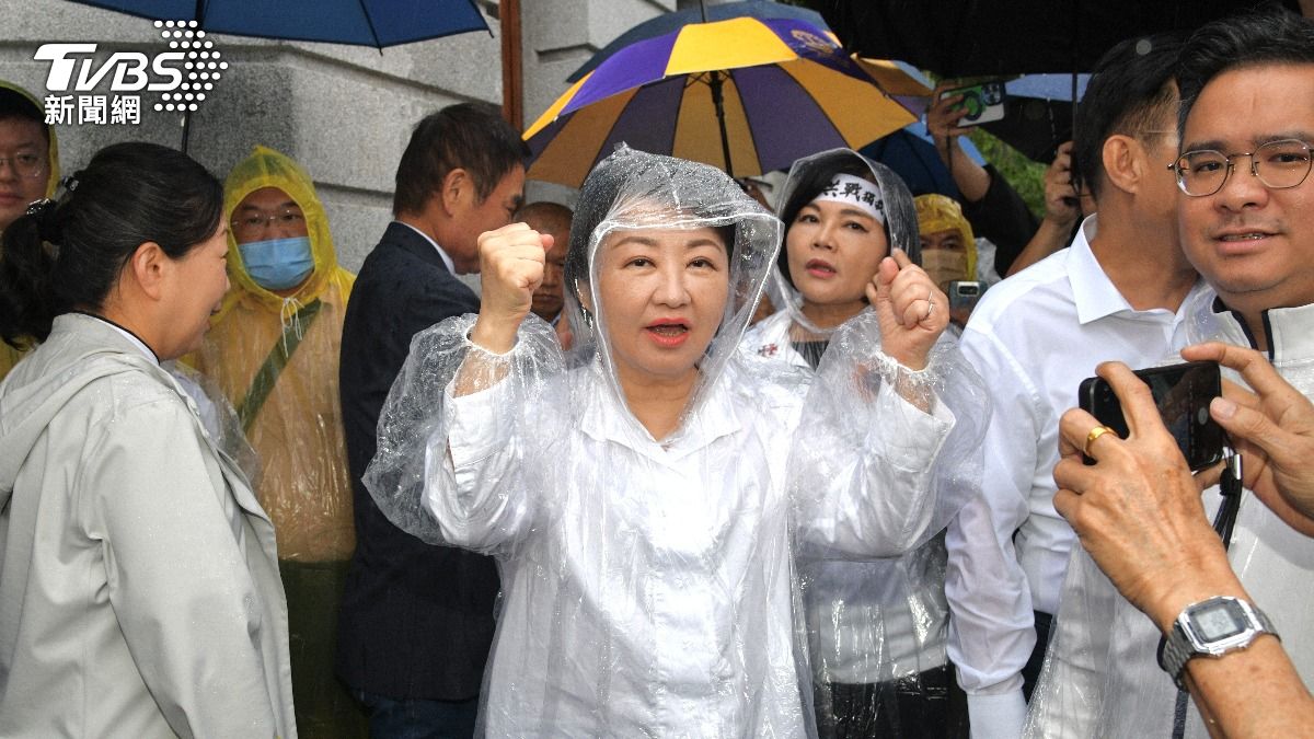 426凱道藍白大咖齊聚 陳琬惠曝小草真實反應:對「她」發言最有感