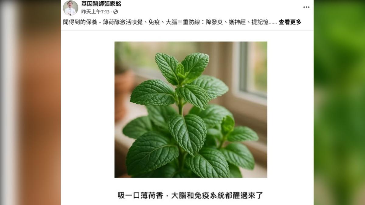 醫師分享薄荷對身體有益。(圖/翻攝自基因醫師張家銘 臉書)