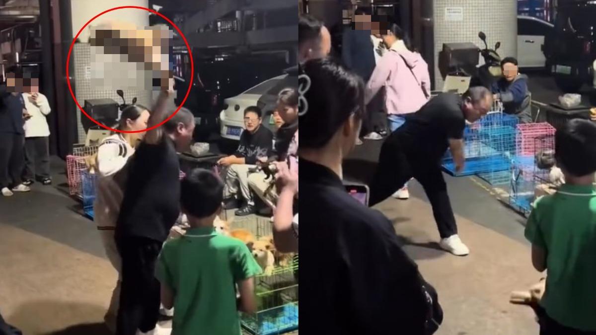 男子因欲退貨遭拒,竟將手中的小狗用力摔向地面致死。(圖/翻攝自微博)