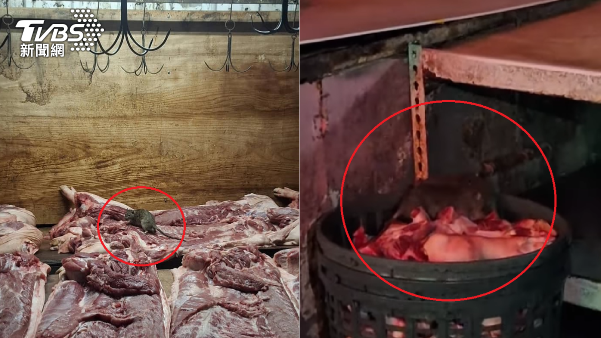 菜市場肉攤驚見「肥碩米奇」!生肉置地放到天亮 超噁畫面曝