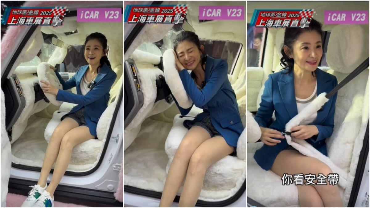 儀表台、方向盤,通通變得毛茸茸的。(圖/地球黃金線)