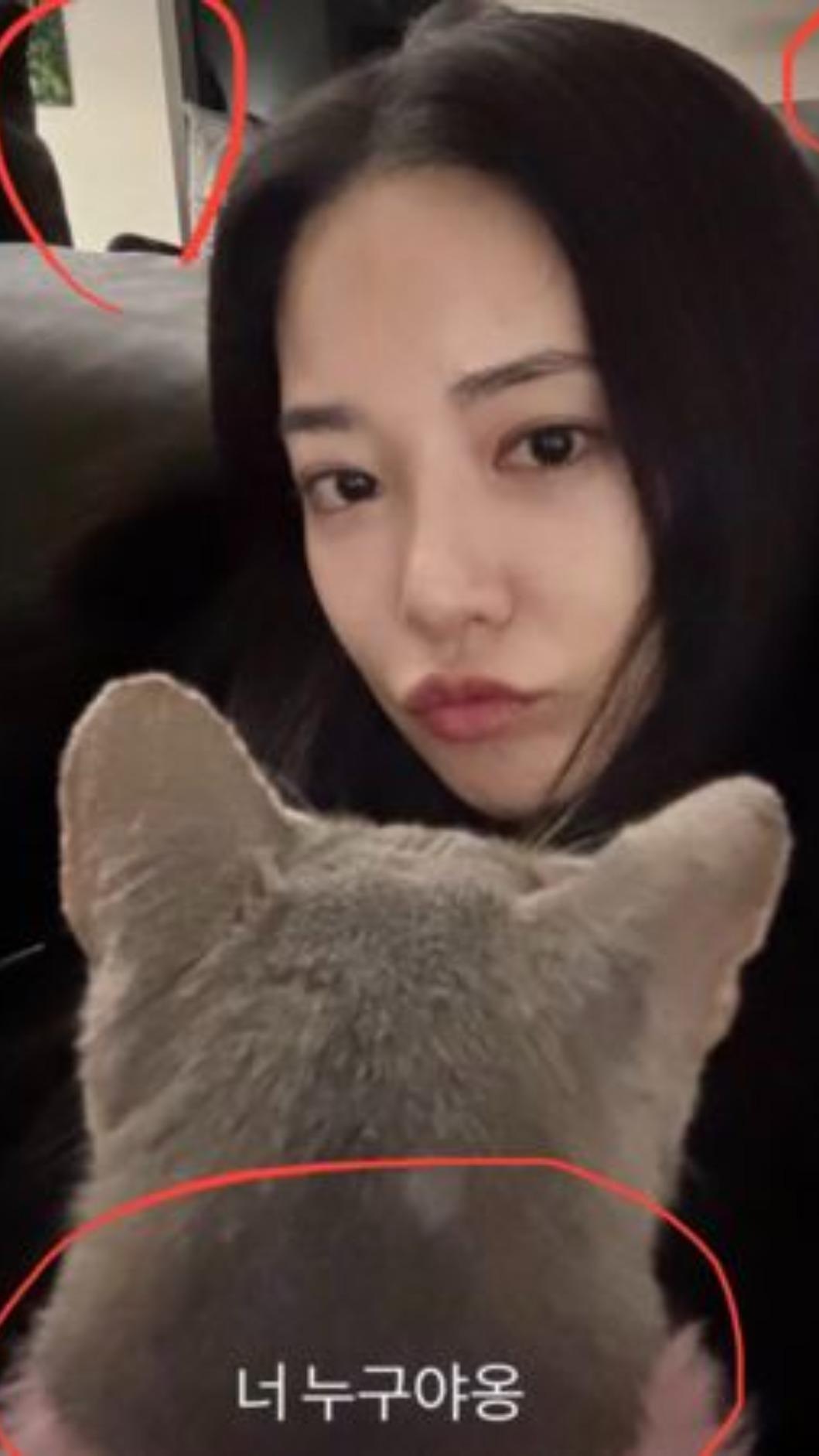 李珠妍曬出與貓咪的自拍,背景被發現與GD家相似。(圖/翻攝自nate)