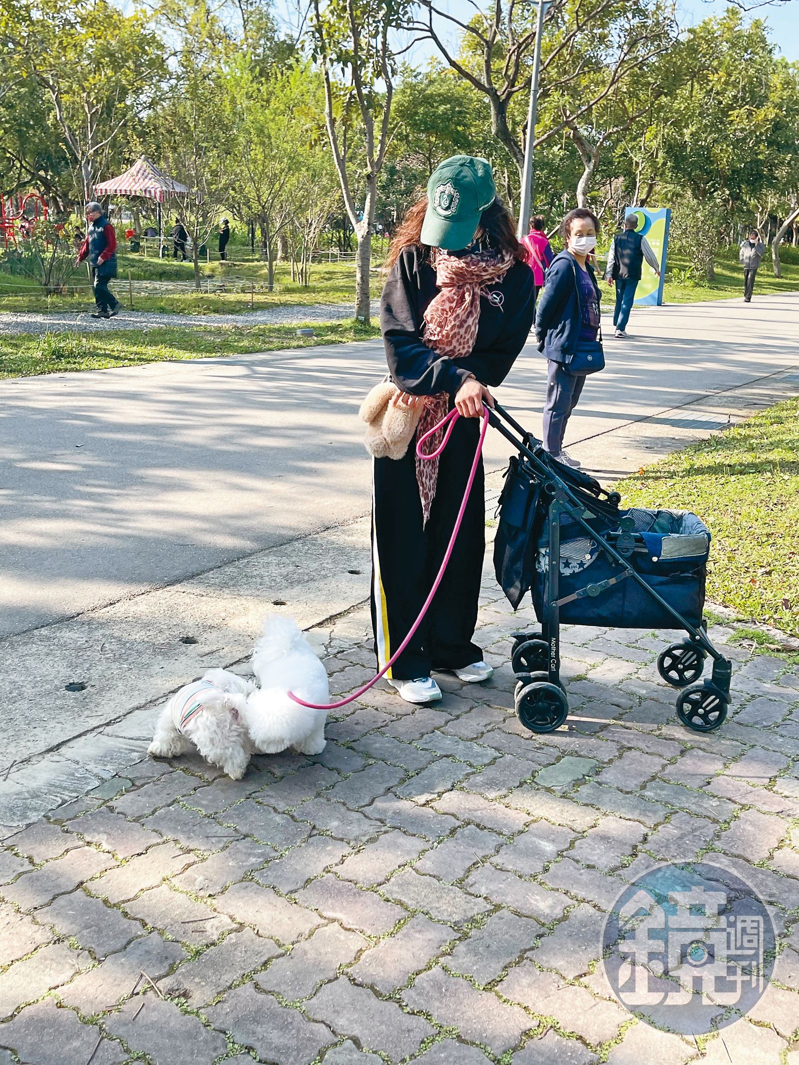 因住家距離台北大安森林公園不遠,蔡依林經常帶著愛犬出去散步。(圖/鏡週刊)