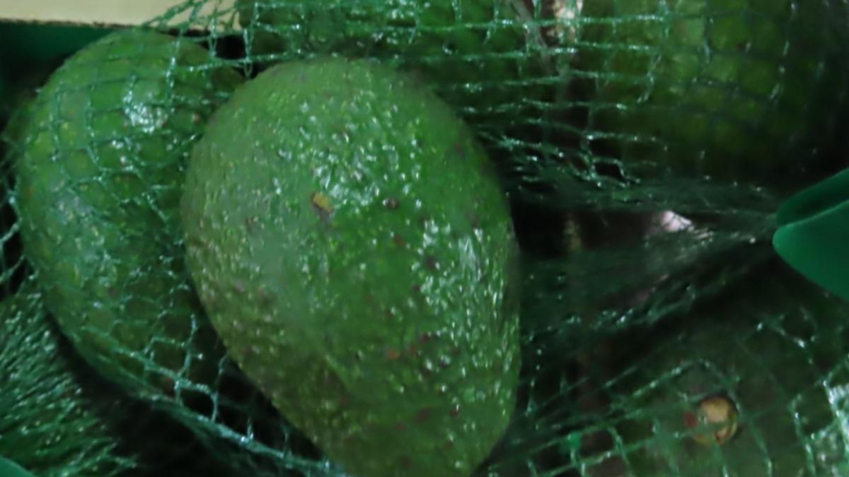 這兩批酪梨都是來自同一間美國製造商。（圖／食藥署提供）