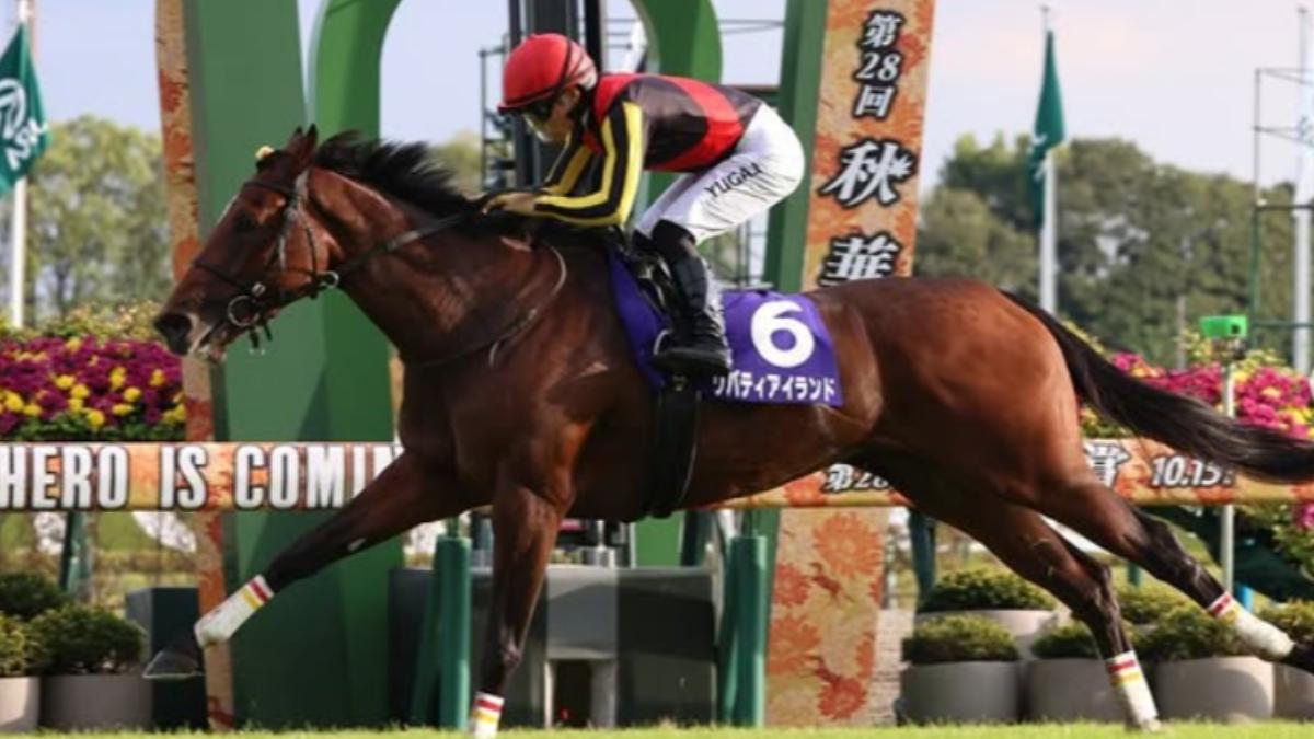 三冠馬后「自由島」香港比賽跛腳被安樂死 騎師慟別:保護我到最後