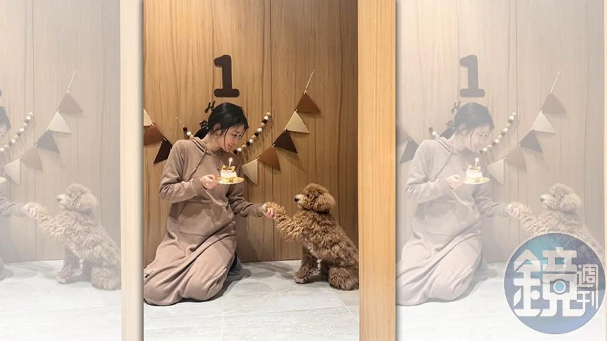 麻衣喜迎二寶! 乖巧馬爾濟斯和兒子成玩伴