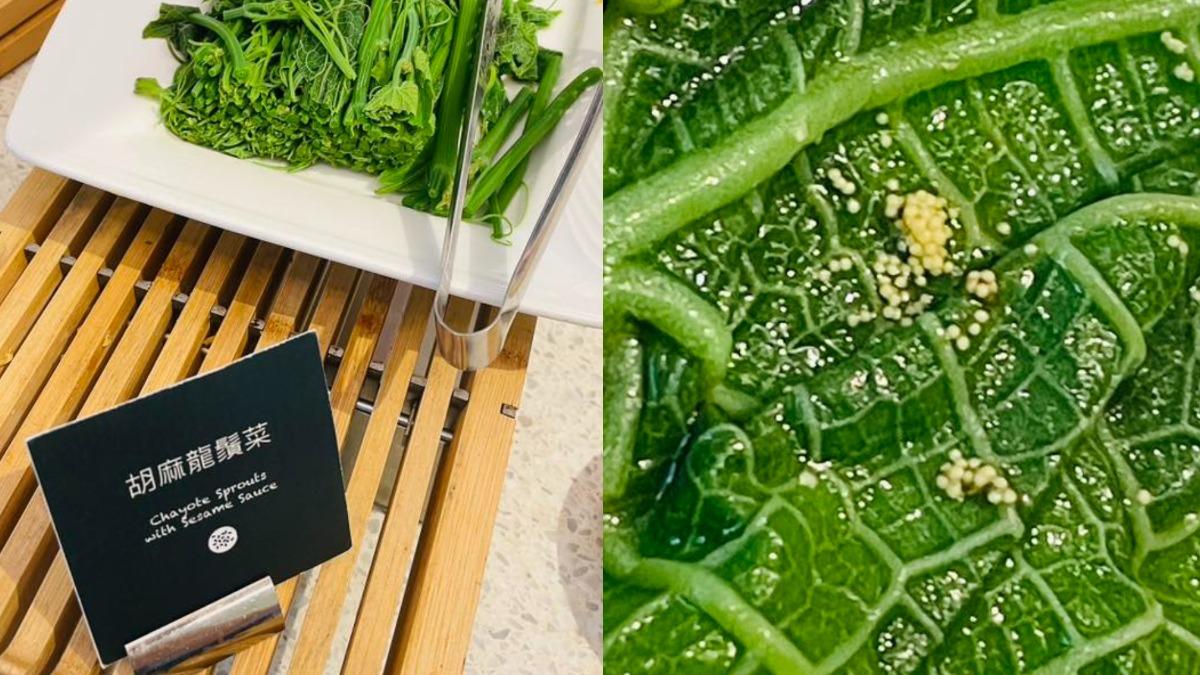 頭皮發麻!高雄承億酒店赫見「密集蟲卵」菜葉 業者:是魚卵