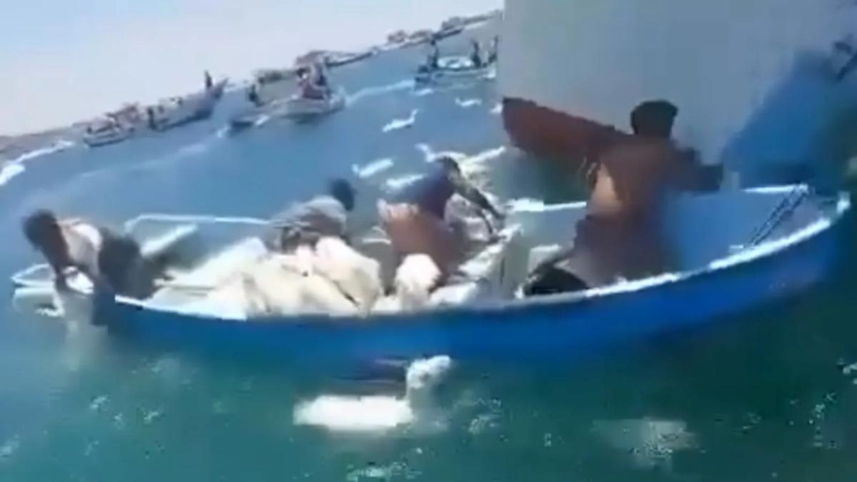 葉門2000隻羊落海!人類貪心船隻過載 逾千隻溺斃成海中亡魂