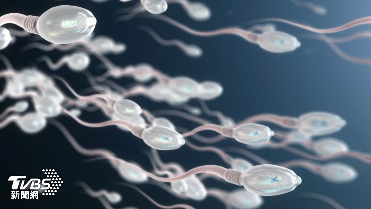 精蟲也要SPA! 醫學研究:按壓1部位「受孕率大翻倍」