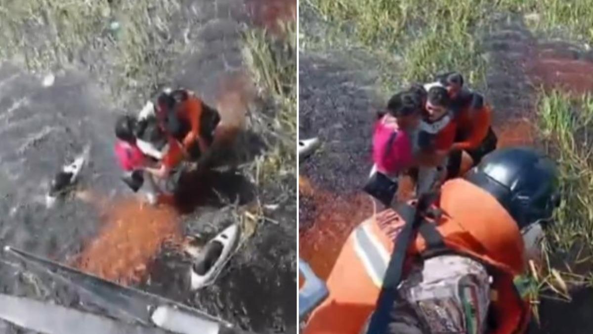 玻國小客機迫降沼澤!機上5人遭鱷魚、蟒蛇包圍36小時