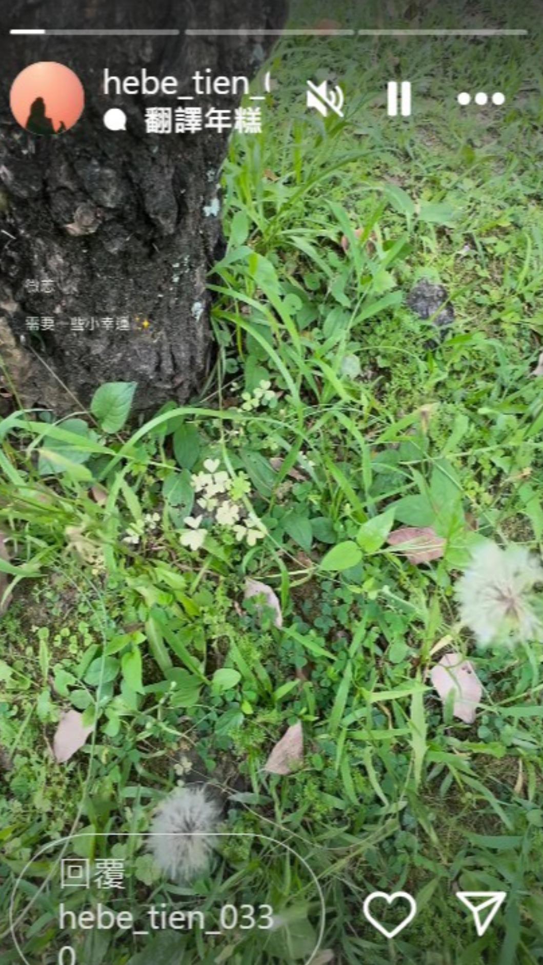 田馥甄日前曾在社群分享身體狀況,讓粉絲有些擔心。(圖/翻攝自田馥甄IG)