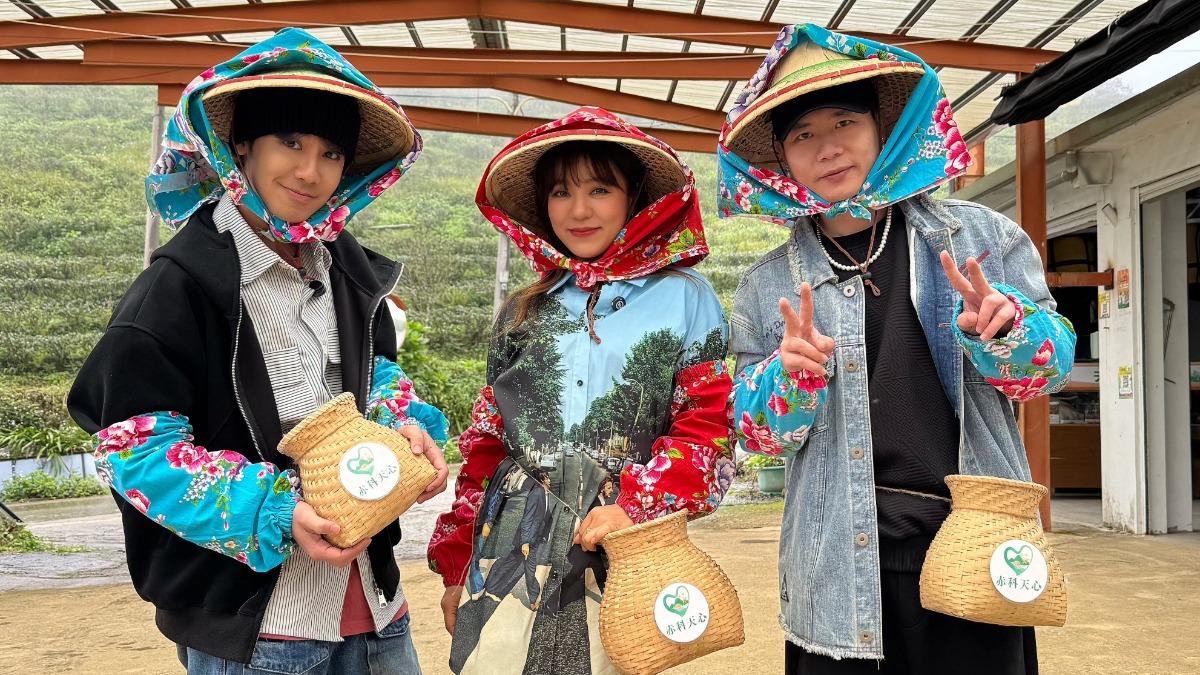 鼓鼓(左起)和丁噹、蕭秉治體驗採茶。(圖/相信音樂提供)