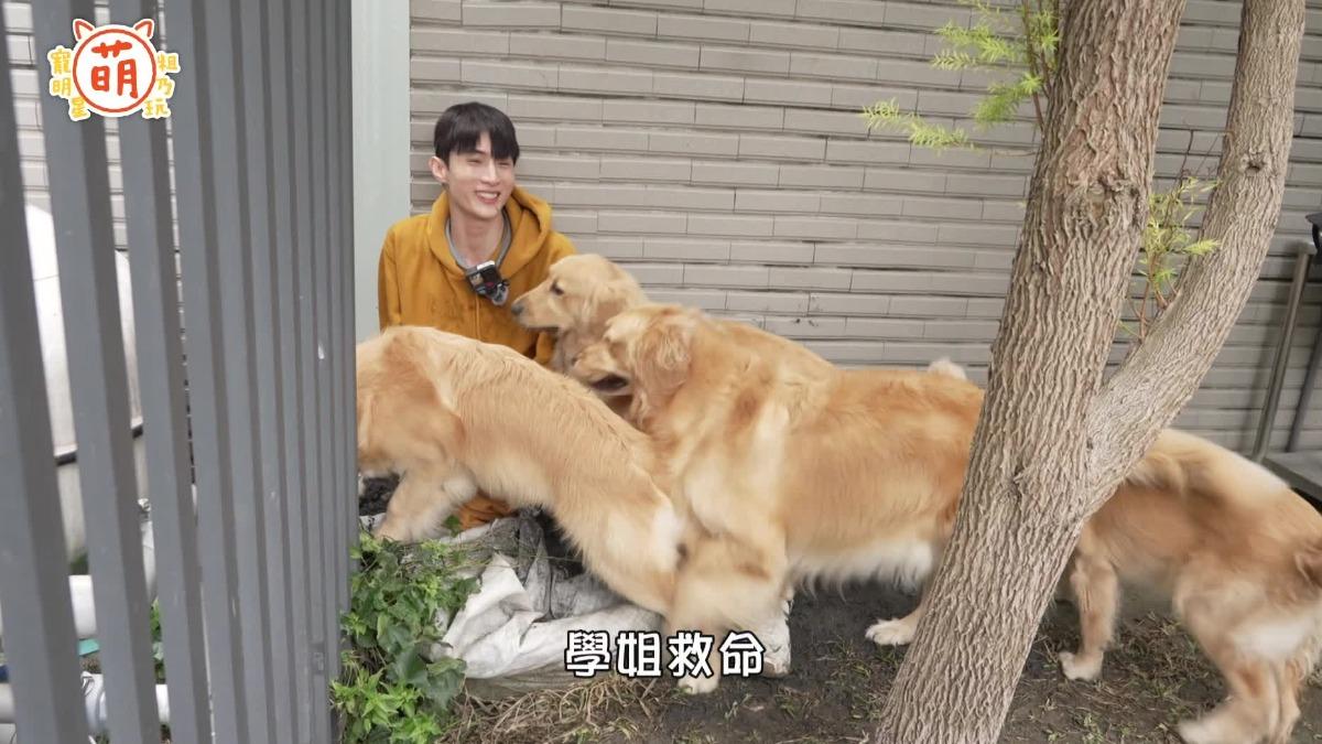 阿本克服心魔。（圖／翻攝自節目畫面）