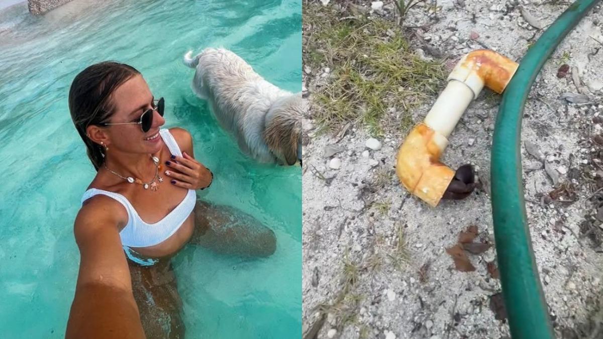 美女驚見「1根水管」動起來! 真相曝光後網嗨:撿到寶了