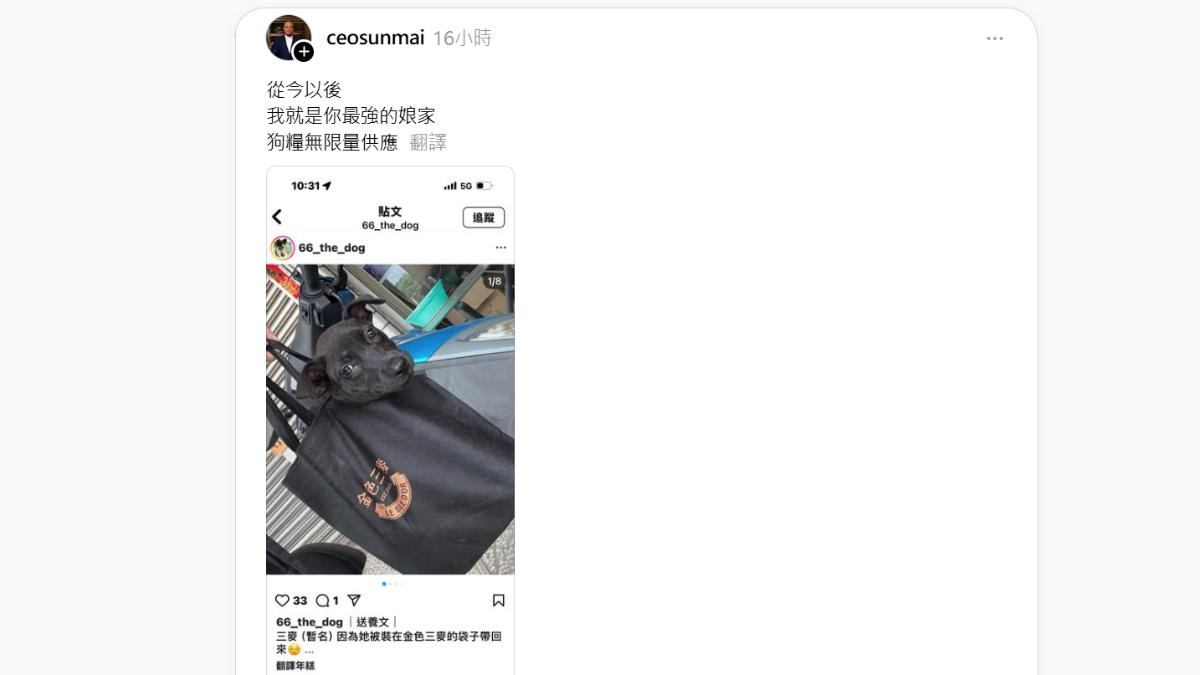 黑狗被裝這品牌購物袋找家 金色三麥老闆霸喊:我當你娘家狗糧無限供