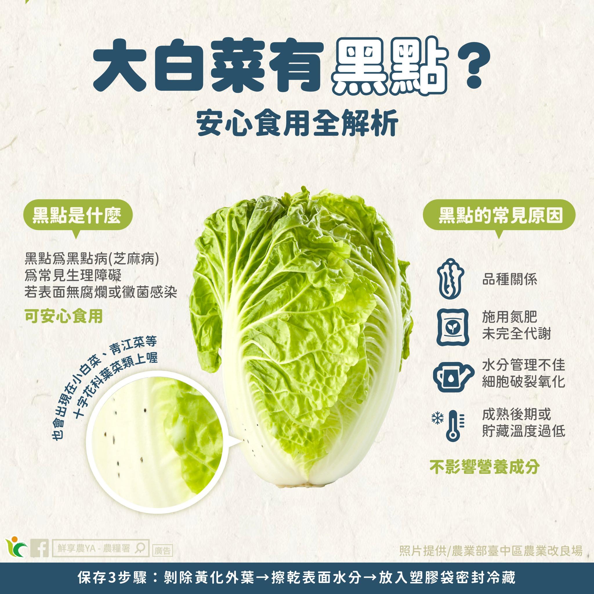 農糧署表示葉菜的黑點一般被稱為「黑點病」或「芝麻病」，可以安心食用。（圖／翻攝自農糧署臉書）
