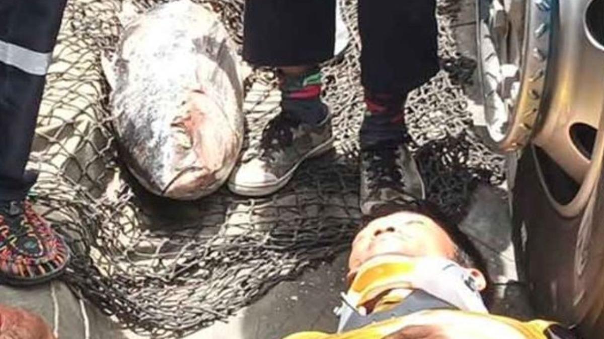 來自地獄的魚?40公斤重冷凍鮪魚從天降 貨車司機頭破血流