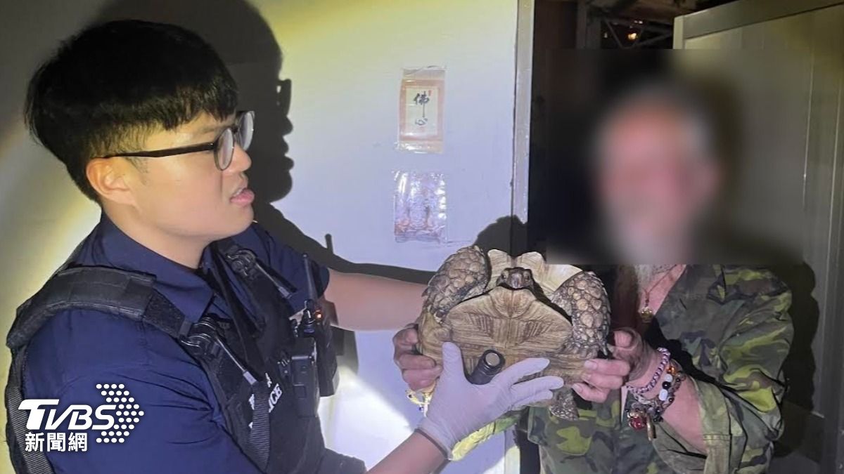 象龜曬太陽散步竟被打包帶走 63歲翁落網