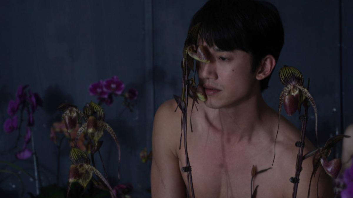 《破浪男女》吳慷仁被評「不像角色」成北影遺珠(圖/双喜電影)
