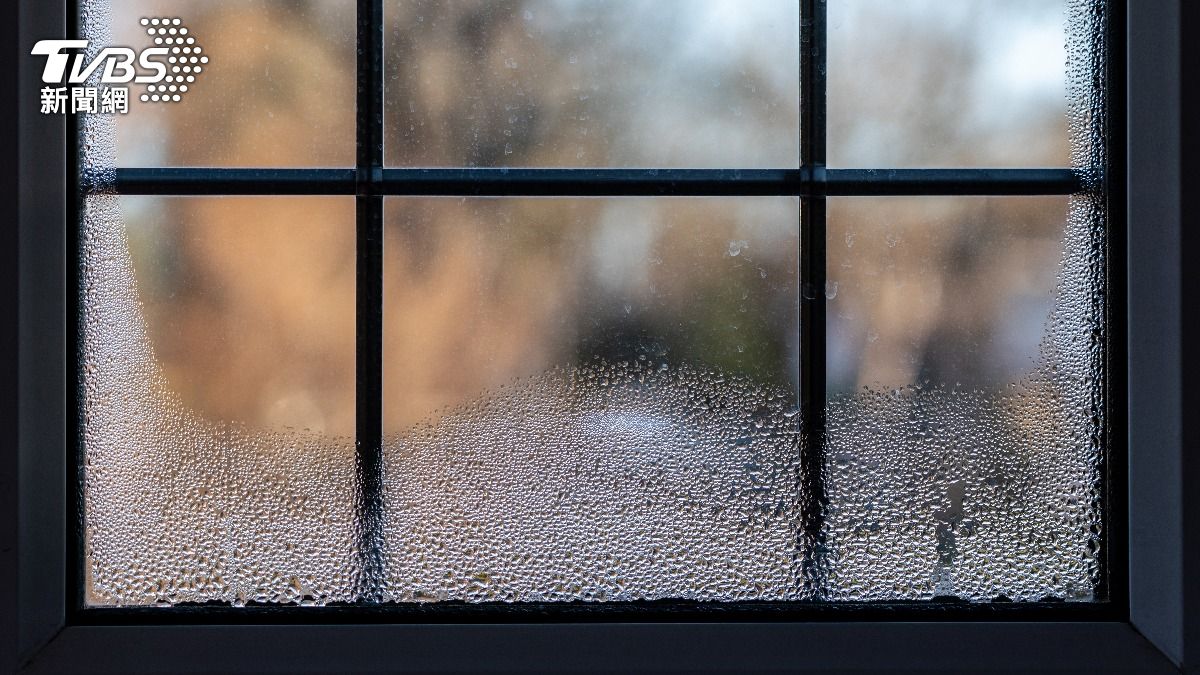 下雨天家裡太潮濕?十大問題一次看 教你擺脫濕氣地獄