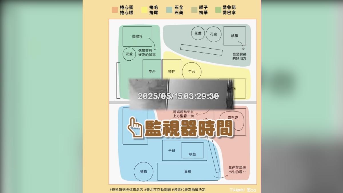 動物園利用踩點的方式來命名。(圖/台北市動物園提供)