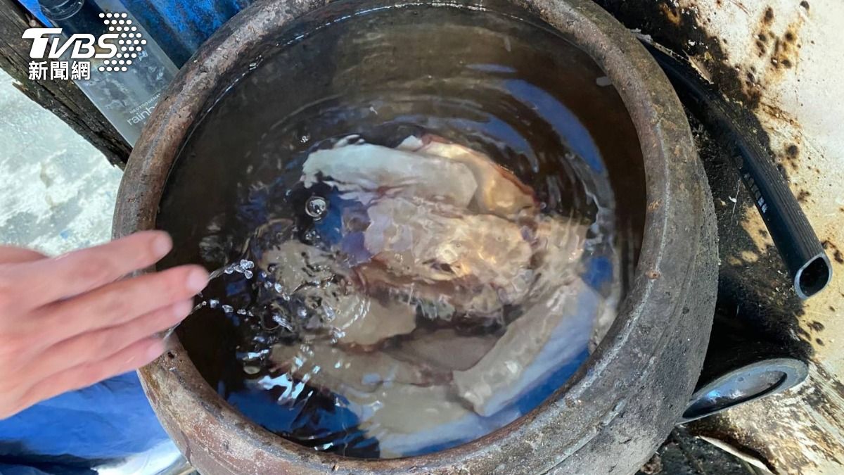 民眾指控業者竟然將鴨肉從摸過錢洗過洗手乳的裝水桶子拿出來。(圖/TVBS)