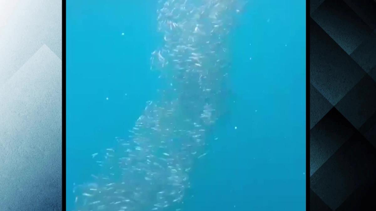 圖/畫面來源 Moon月海景民宿 提供