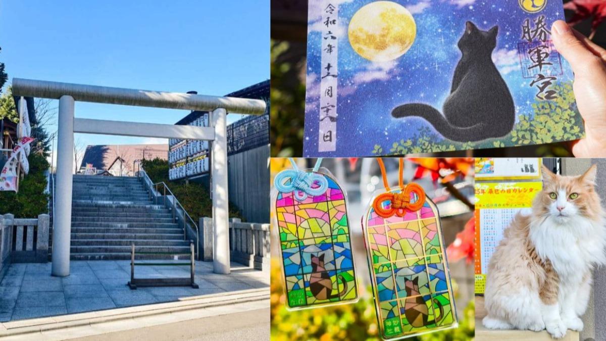 朝聖東京1300年「貓咪神社」！夢幻玻璃御守＋鎮社貓超吸睛