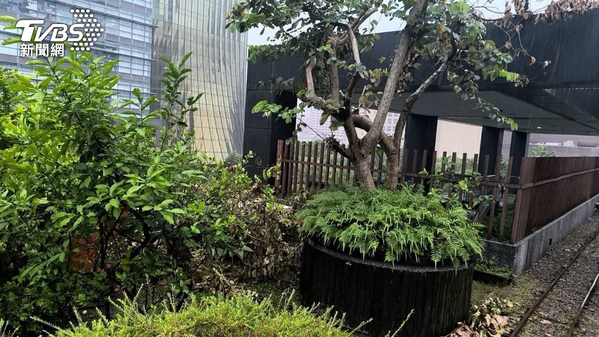 徐男被發現陳屍在戶外區。（圖／TVBS）