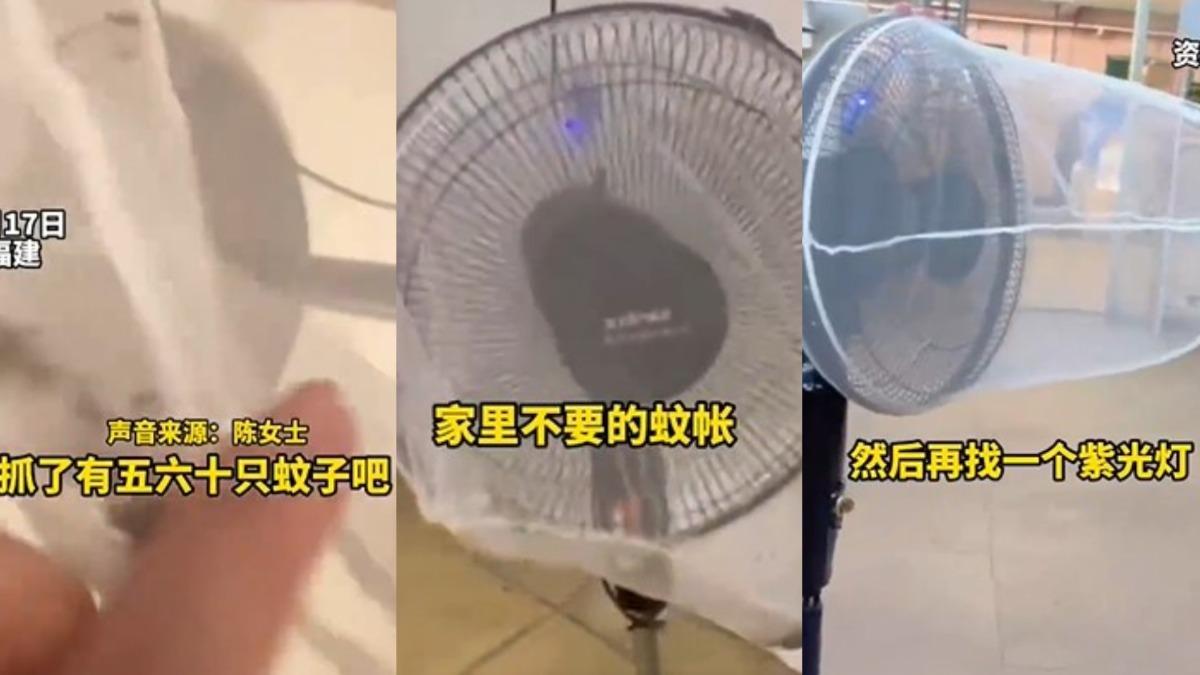 捕蚊神器爆紅！陸女0成本「5小時抓60隻」　網讚爆：超有效