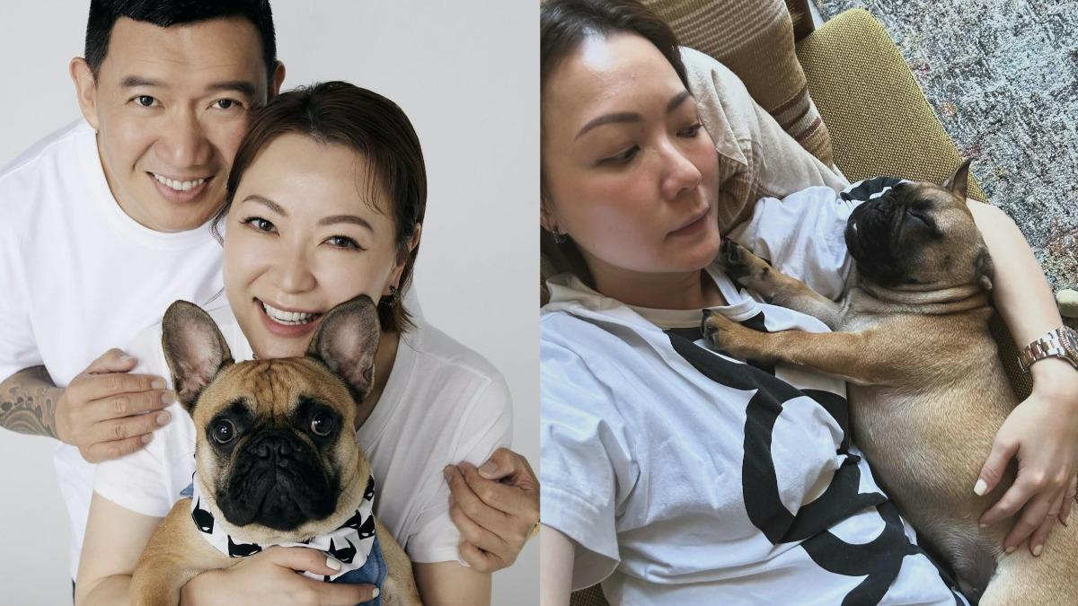 香港視后田蕊妮肺腺癌康復! 老公杜汶澤感慨「好運氣」