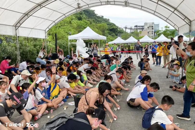 民間相信，端午節是陽氣最旺的時刻，天地氣場穩定，若能成功立蛋，就被視為好運的象徵。（圖／ 翻攝自FB＠Taipei Zoo 臺北市立動物園）