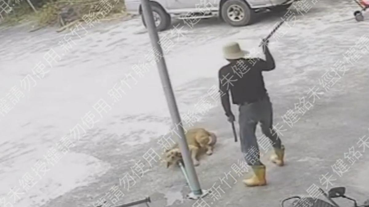 狗狗疑踩壞西瓜遭棍打1分鐘 新竹男虐狗可惡行徑曝