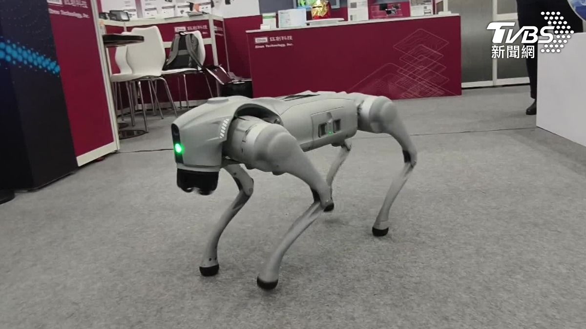 帝闊科技機器狗(圖/TVBS)