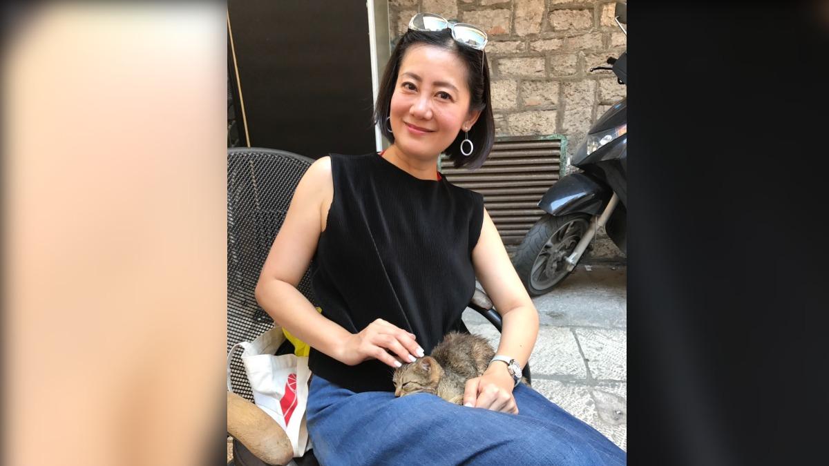 綠委吳思瑤在克羅埃西亞救了一隻小貓。(圖/吳思瑤提供)