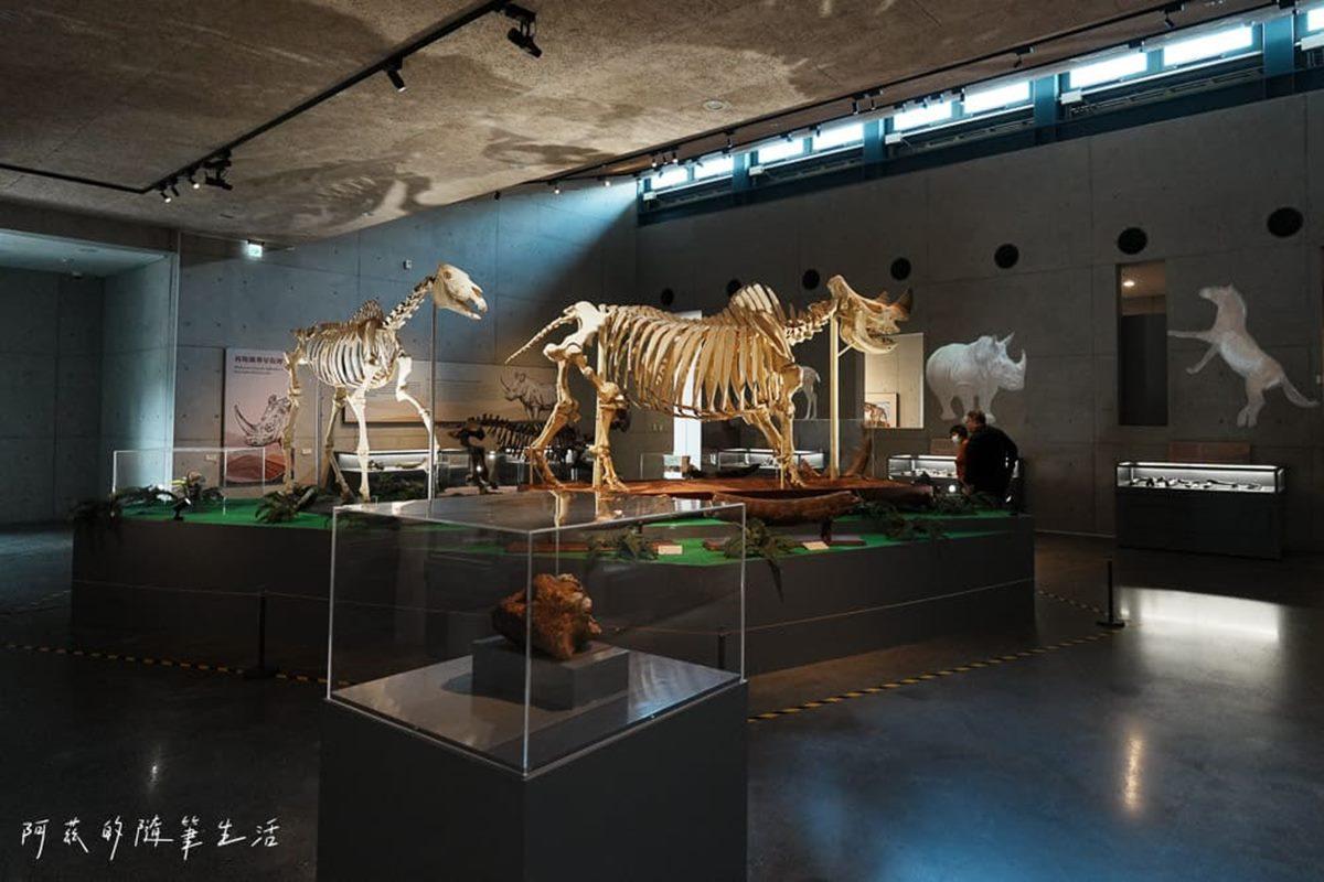 台南「左鎮化石園區」是全台第1座化石主題博物館。（圖／「阿茲的隨筆生活」提供）