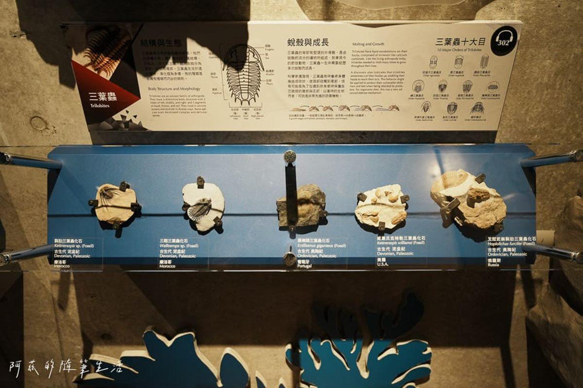 「生命演化館」介紹地球形成的歷史。（圖／「阿茲的隨筆生活」提供）